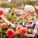 The Benefits of Gardening for Seniors in Senior Living image