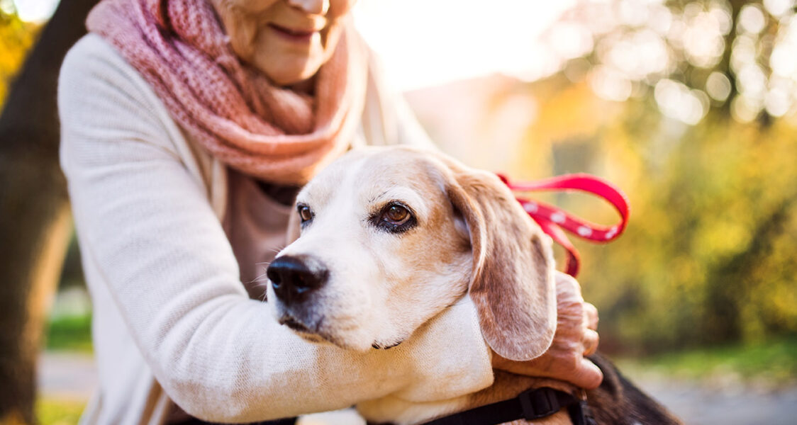 The Benefits of Pet Therapy In Assisted Living image
