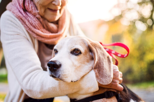 The Benefits of Pet Therapy In Assisted Living listing image